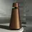 Loa Bang & Olufsen BeoSound 1 Bronze Tone (New Seal), Màu: Bronze Tone