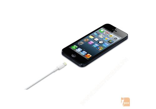  Cáp sạc iPhone Lightning to USB Apple Cable, Ảnh. 4 