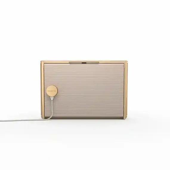 Loa Bang & Olufsen Beosound Level Gold (New Seal), Màu: Gold, 2 image